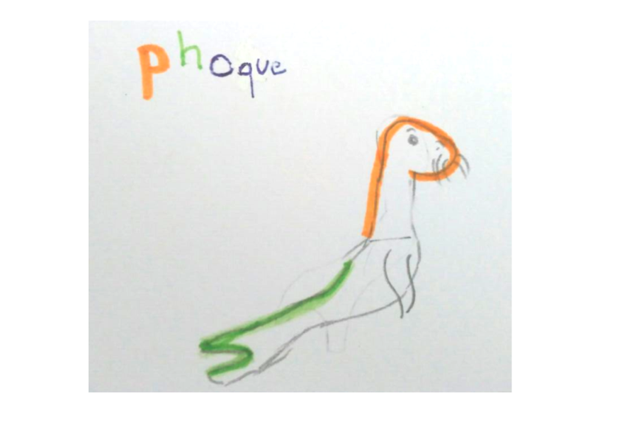 phoque